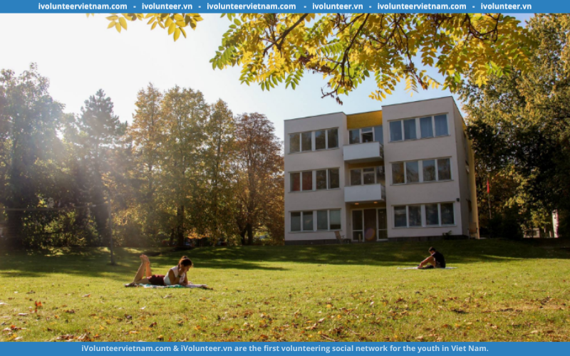 Học Bổng Đầu Vào Dành Cho Bậc Cử Nhân Tại Bard College Berlin 2023