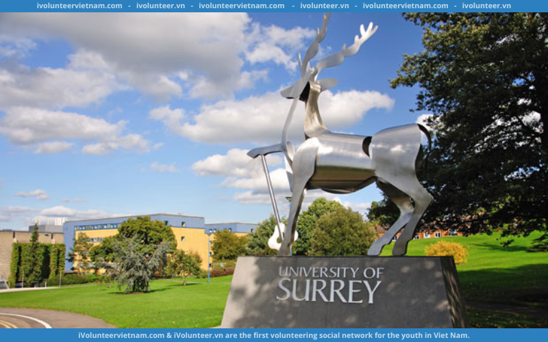 Học Bổng Toàn Phần Bậc Thạc Sĩ Và Tiến Sĩ Ngành Kinh Tế Từ Trường Đại Học Surrey 2023 Tại Vương Quốc Anh