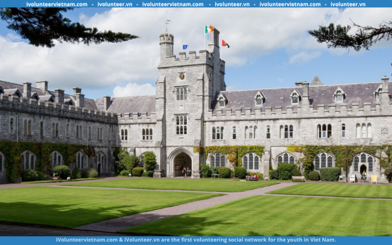 Học Bổng Bán Phần Bậc Cử Nhân Tại University College Cork 2023