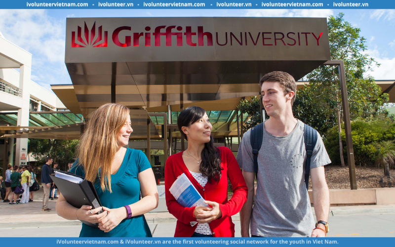 Học Bổng Bán Phần Dành Cho Bậc Cử Nhân và Sau Đại Học Tại Đại Học Griffith