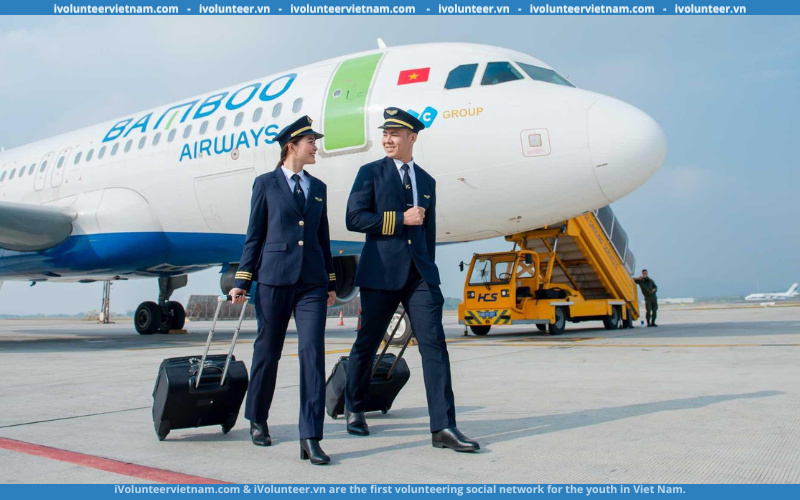 Hãng Hàng Không Bamboo Airways Tuyển Dụng Thực Tập Sinh Hành Chính Phòng Chính Sách Và Điều Hành Bán