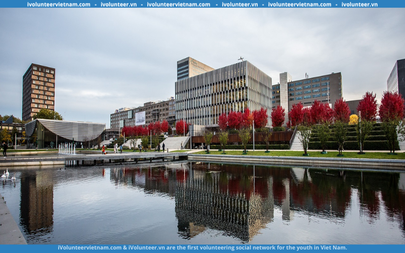 Học Bổng Toàn Phần Bậc Thạc Sĩ Tại Đại Học Erasmus University Rotterdam 2023