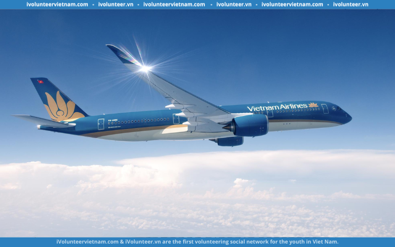 Cơ Hội Nhận 30.000.000 VND Từ Cuộc Thi “Sáng Tạo Biểu Trưng 30 Năm Hãng HKQG” Do Vietnam Airlines Tổ Chức 2023