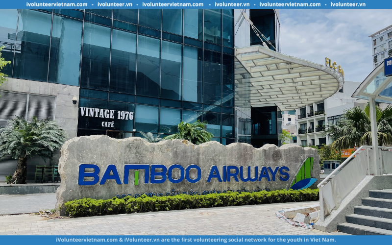Hãng Hàng Không Bamboo Airways Tuyển Dụng Thực Tập Sinh Thiết Kế 2D 2023