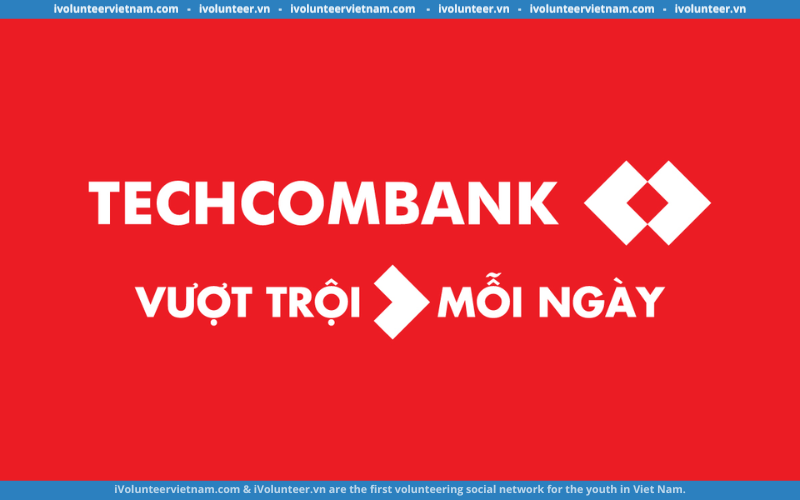 Ngân Hàng Techcombank Tuyển Dụng Chuyên Gia Nghiên Cứu Hành Vi Khách Hàng (Customer Insight)