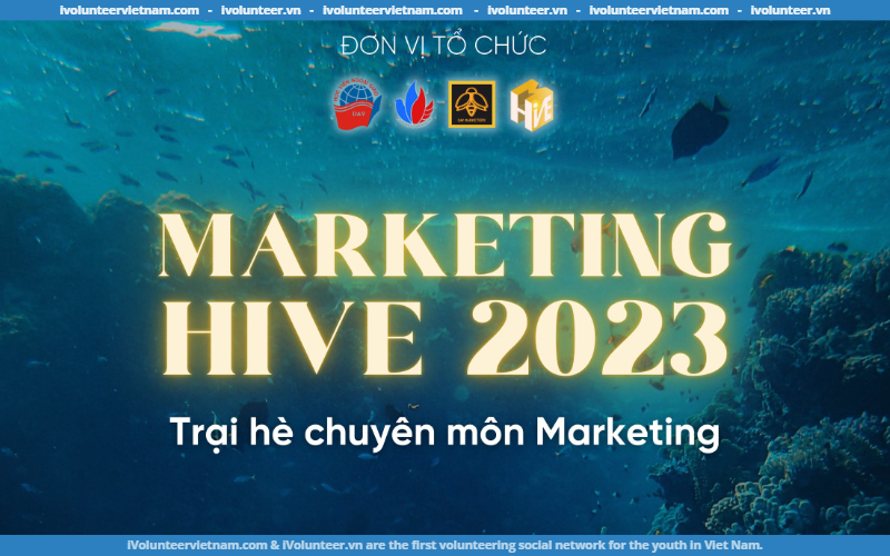 Trại Hè Chuyên Môn Marketing Hive 2023 Do Câu Lạc Bộ Marketing Học Viện Ngoại Giao Tổ Chức Chính Thức Mở Đơn Đăng Ký