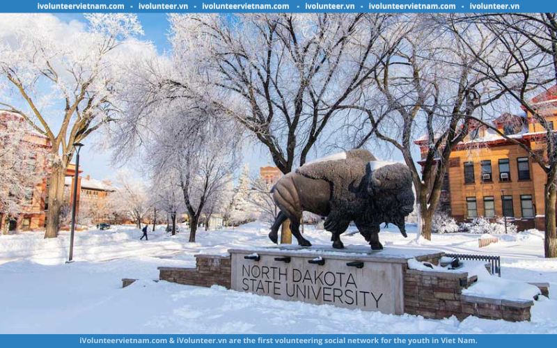 Học Bổng Bán Phần Bậc Cử Nhân Tại Đại Học North Dakota State Năm Học 2023