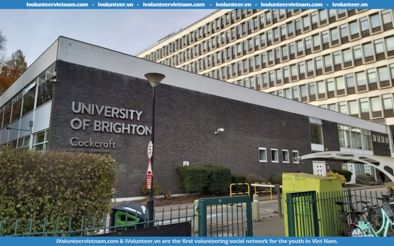 Học Bổng Quốc Tế Bậc Thạc Sĩ Của Đại Học Brighton Tại Vương Quốc Anh