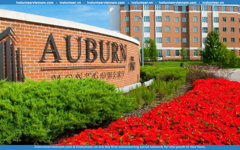 Học Bổng Bán Phần Bậc Cử Nhân Tại Đại Học Auburn 2023