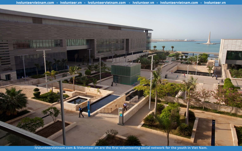 Học Bổng Ngắn Hạn VSRP Tại King Abdullah University Of Science And Technology (KAUST) 2023-2024