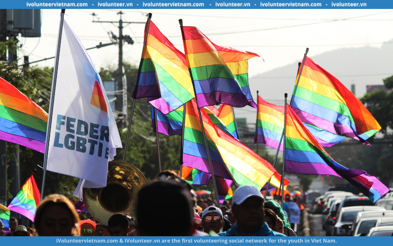 Lễ Hội Hanoi Pride Tuyển Dụng Ban Thư Ký Đối Ngoại/ Đối Nội/ Truyền Thông/ Tài Chính