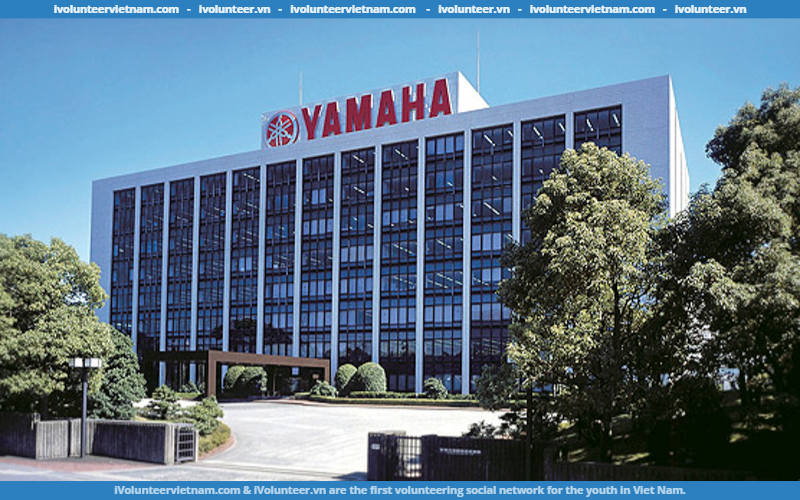 Công Ty TNHH Yamaha Motor Việt Nam Tuyển Dụng Sales Admin Executive – Big Bike Dept.