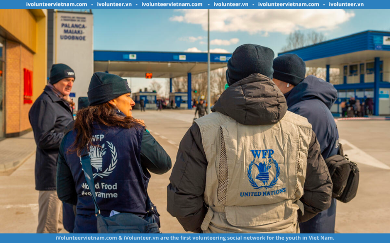 Chương Trình Lương Thực Thế Giới (WFP) Tuyển Tình Nguyện Viên Hỗ Trợ Thiết Kế Factsheet Về Các Lĩnh Vực Công Việc Khác Nhau Của WFP