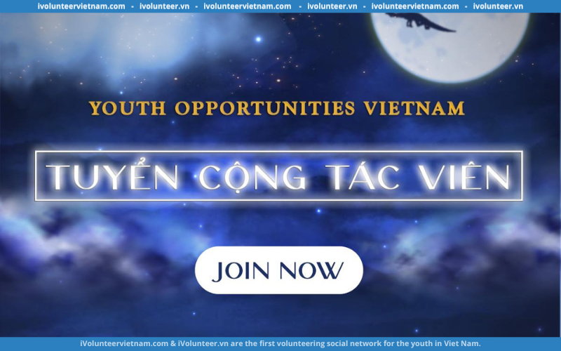 Dự Án Youth Opportunities Vietnam Mở Đơn Tuyển Tình Nguyện Viên