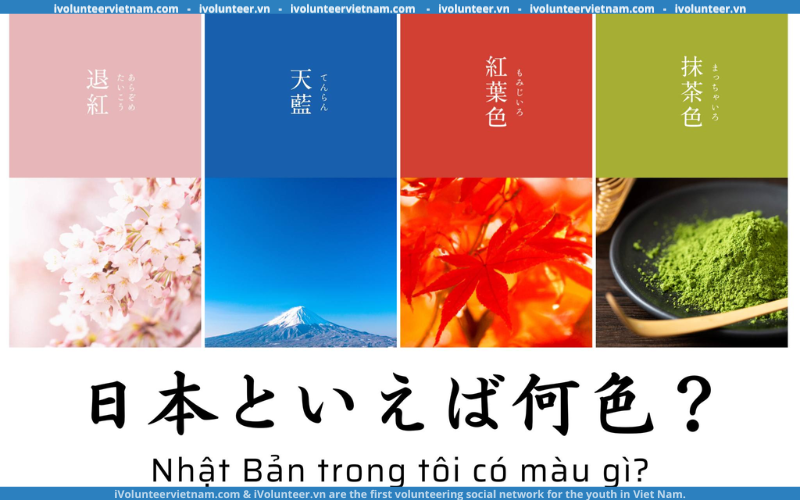Cuộc Thi Hùng Biện Tiếng Nhật Tổ Chức Bởi Khoa Ngôn Ngữ Nhật Bản – Hà Nội