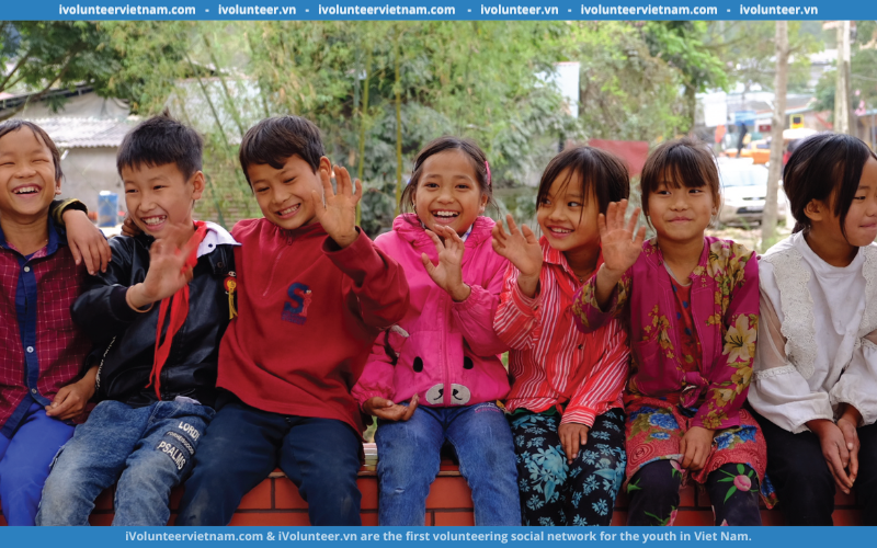 Tổ Chức Phi Chính Phủ Blue Dragon Children’s Foundation Tuyển Dụng Chuyên Viên Công Tác Xã Hội Full-time 2023