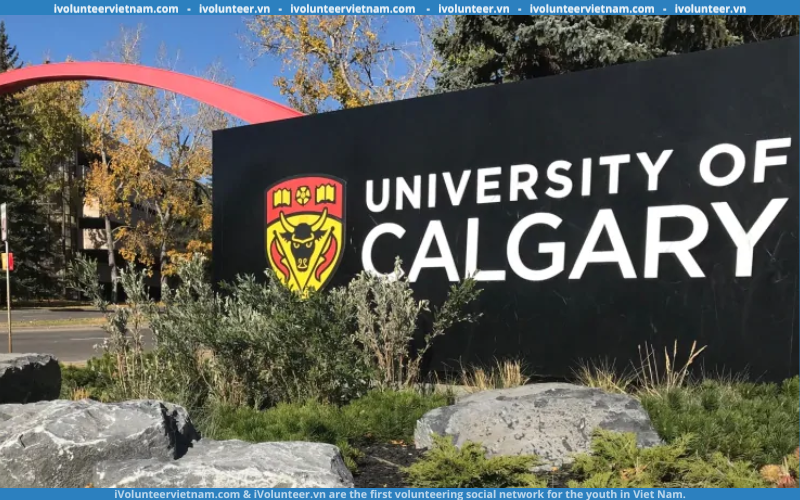 Học Bổng Đầu Vào Bậc Cử Nhân Tại Đại Học Calgary – Canada
