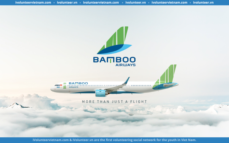 Bamboo Airlines Tuyển Dụng Thực Tập Sinh Phòng Khách Hạng Thương Gia