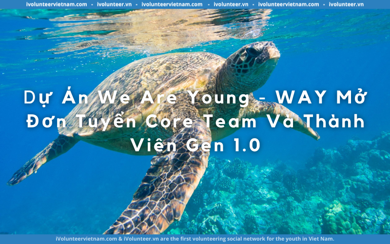 Dự Án We Are Young – WAY Mở Đơn Tuyển Core Team Và Thành Viên Thế Hệ Đầu Tiên