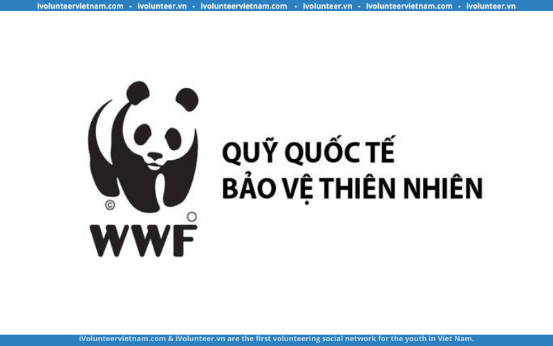 Tổ Chức Phi Chính Phủ WWF Việt Nam Tuyển Dụng Cán Bộ Quản Lí Dự Án