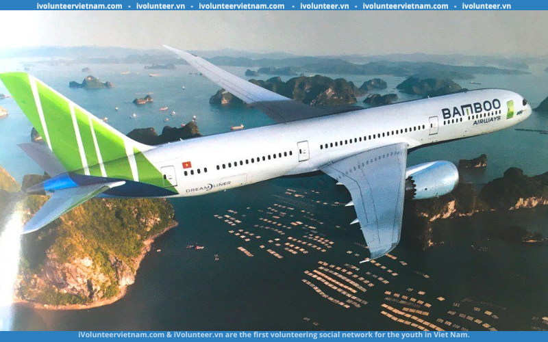 Hãng Hàng Không Bamboo Airway Tuyển Dụng Thực Tập Sinh Hỗ Trợ Hành Khách (Sân Bay Nội Bài)