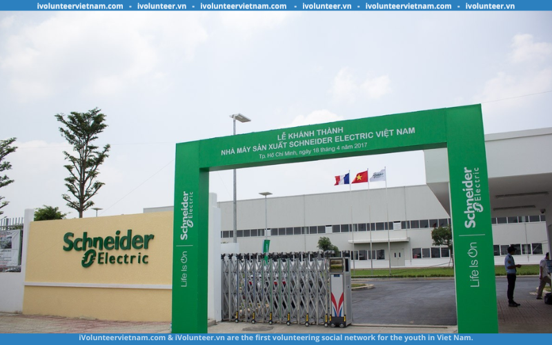Tập Đoàn Đa Quốc Gia Schneider Electric Tuyển Dụng Thực Tập Sinh Thương Mại Điện Tử Toàn Thời Gian 2023