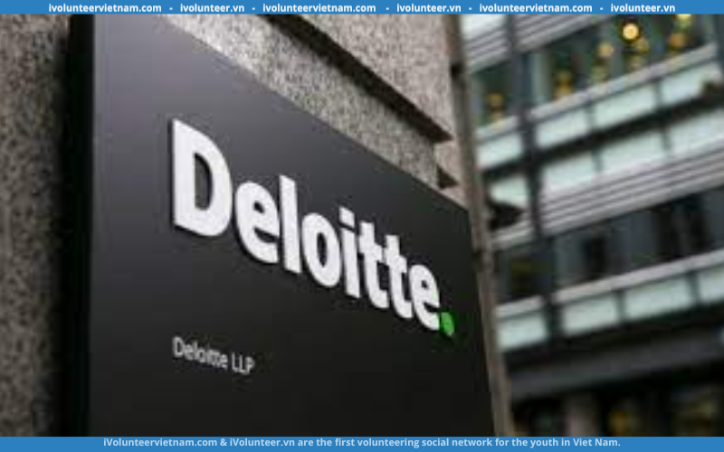 Tập Đoàn Kiểm Toán Đa Quốc Gia Deloitte Tuyển Dụng Thực Tập Sinh Finance Full-time 2023