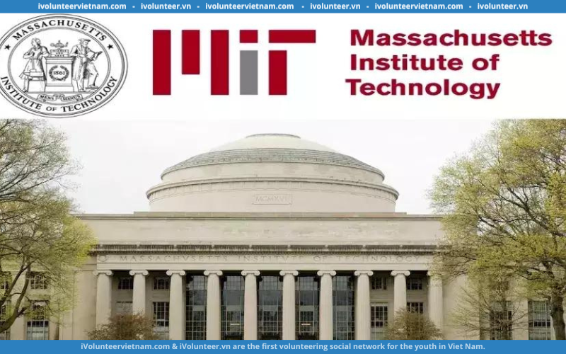 Khóa Học Nguyên Lý Kinh Tế Vi Mô “Principles Of Microeconomics” Từ Học Viện Công Nghệ Massachusetts (MIT)