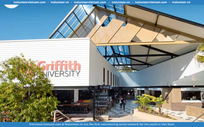 Học Bổng Bán Phần Bậc Cử Nhân Và Thạc Sĩ Vice Chancellor’s International Scholarship Tại Đại Đại Học Griffith 2023
