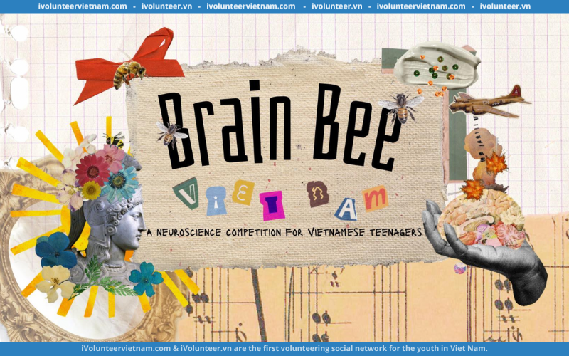 Cuộc Thi Về Thần Kinh Học ‘Brain Bee Việt Nam’ Chính Thức Mở Đơn Đăng Ký Tham Gia