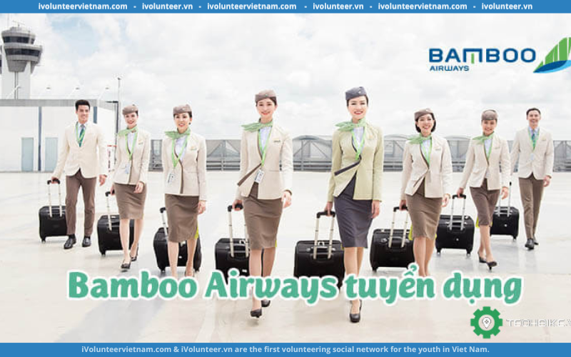 Bamboo Airways Tuyển Dụng Chuyên Viên Khai Thác Hiện Trường – Operation Officer