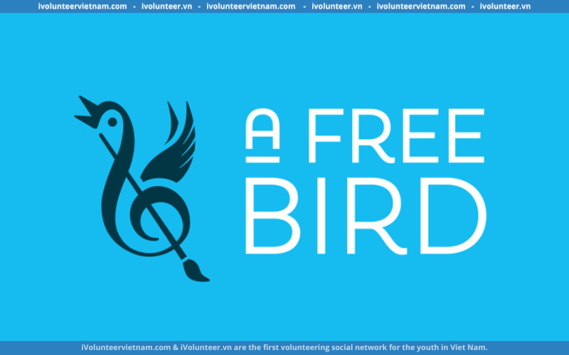 Tổ Chức A Free Bird Tại New York Tuyển Tình Nguyện Viên Đa Phương Tiện Online