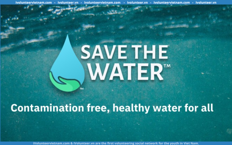 Tổ Chức Save The Water Tuyển Tình Nguyện Viên Online Dẫn Dắt Dự Án Tiếp Cận Cộng Đồng