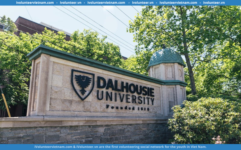 Học Bổng Bậc Thạc Sĩ: The Vitamin Scholarship Tại Trường Đại Học Dalhousie, Canada