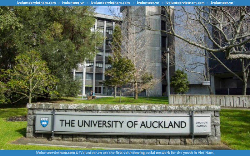 Học Bổng Sinh Viên Quốc Tế Xuất Sắc Của Trường Đại Học Auckland, New Zealand