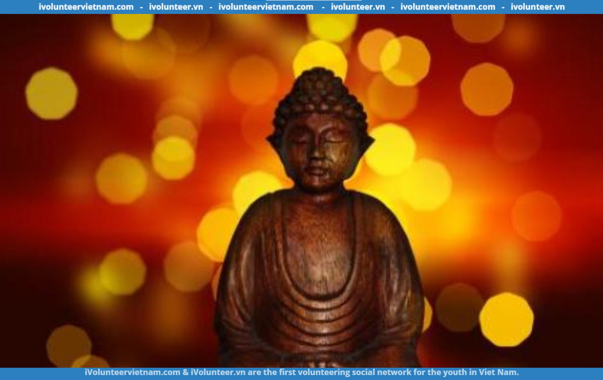 Khoá Học Online Miễn Phí Từ Đại Học Harvard Về Phật Giáo Qua Kinh Điển