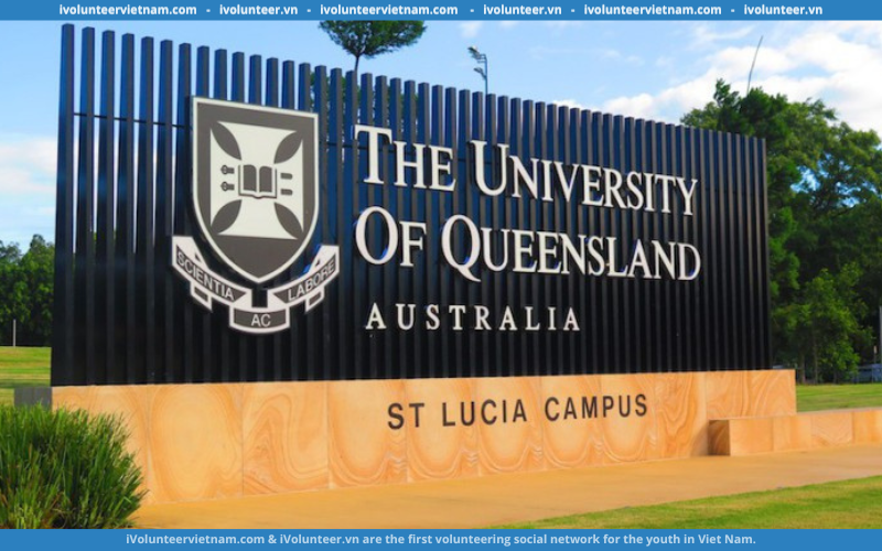Học Bổng Thạc sĩ Ngành Thực Hành Công Nghiệp Dược Phẩm Dành Cho Sinh Viên Quốc Tế Tại Đại Học Queensland 2024