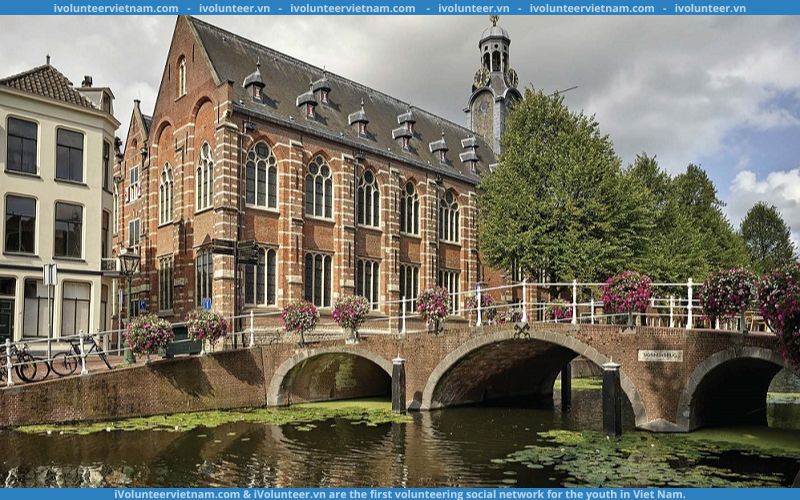 Học Bổng Bậc Thạc Sĩ LION Scholarship 2024 Tại Đại Học Leiden – Hà Lan