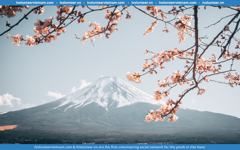 Học Bổng Toàn Phần Ngắn Hạn Chương Trình Trải Nghiệm Nhật Bản: Spring Japan Experience Program 2024