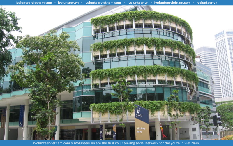 Học Bổng Toàn Phần Bậc Cử Nhân Tại Đại Học Quản lý Singapore 2024