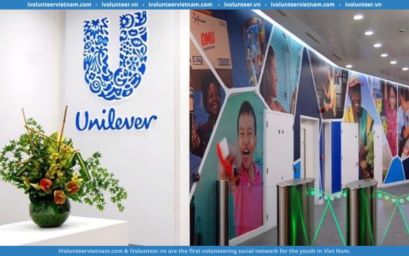 Tập Đoàn Unilever Tuyển Dụng Vị Trí Trợ Lý Giám Đốc Thương Hiệu