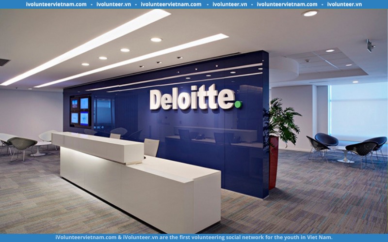 Deloitte Tuyển Dụng Vị Trí Thực Tập Sinh Kiểm Toán 2024