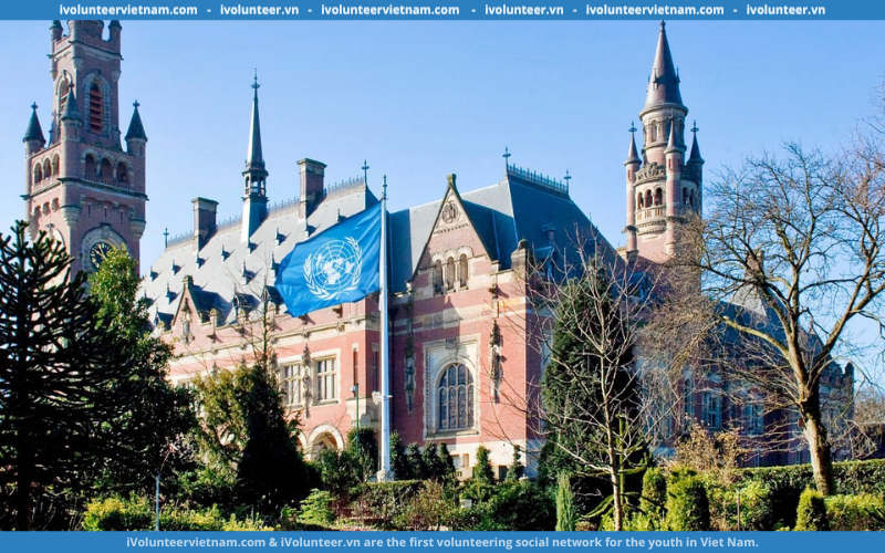 Chương Trình Học Bổng Luật Quốc Tế “International Law Fellowship” Từ Liên Hợp Quốc – Trải Nghiệm Khóa Học Mùa Hè Tại Hà Lan