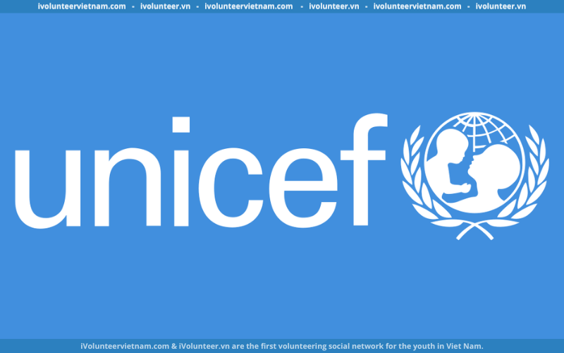 UNICEF Vietnam Tìm Kiếm Chuyên Viên Học Tập & Kỹ Năng Thanh Thiếu Niên
