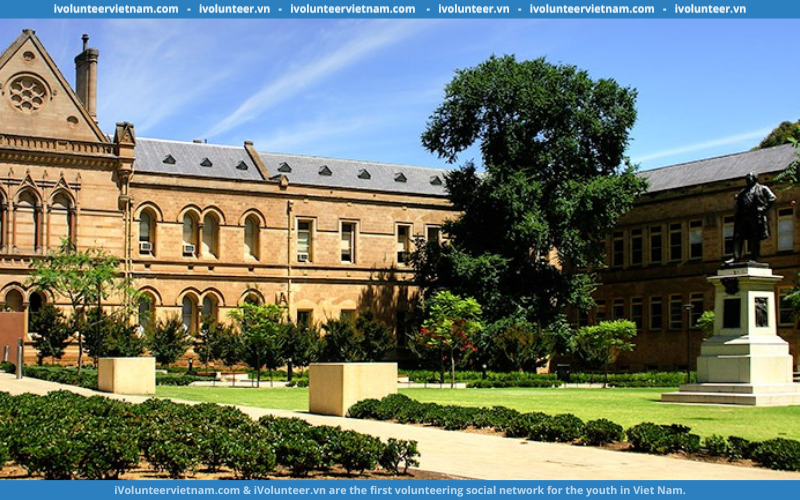Học Bổng Bán Phần Bậc Sau Đại Học Shell Solutions Tại Đại Học Adelaide 2024