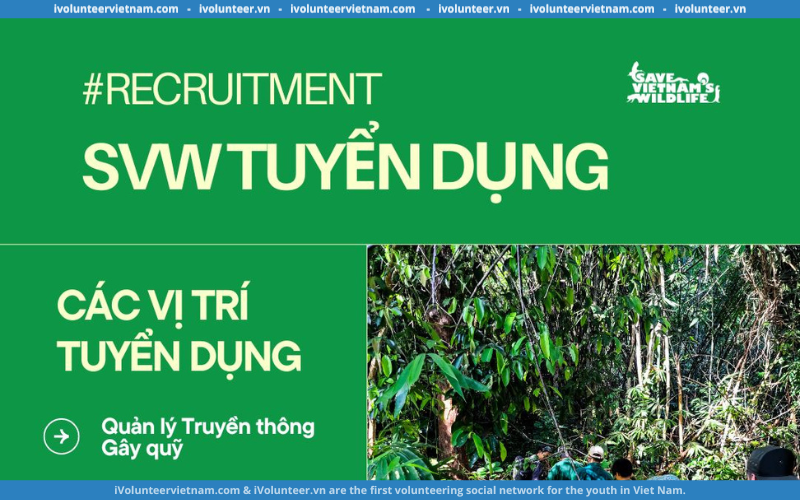 Save Vietnam’s Wildlife Tuyển Dụng Vị Trí Quản Lý Truyền Thông Và Gây Quỹ