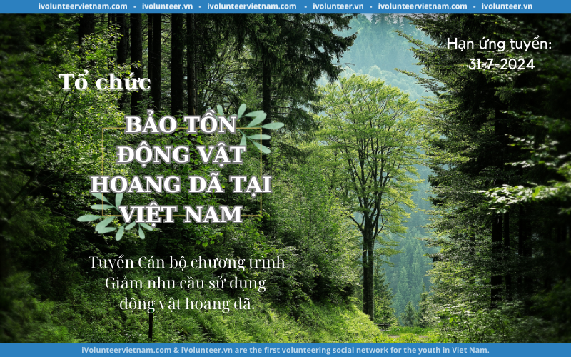 Tổ Chức Bảo Tồn Động Vật Hoang Dã Việt Nam Tuyển Dụng Cán Bộ Chương Trình Giảm Cầu