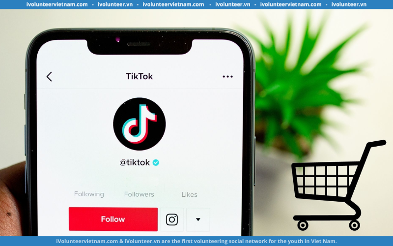 TikTok Shop Tuyển Dụng Thực Tập Sinh Creator Management