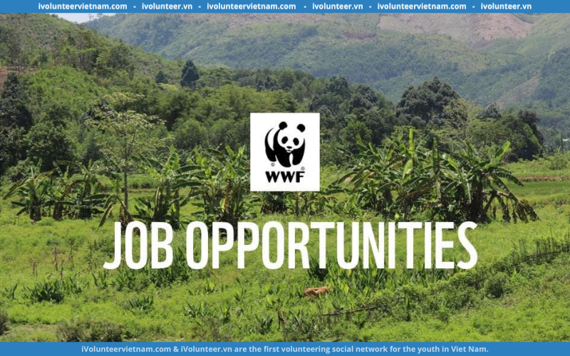 WWF Việt Nam Mở Đơn Tuyển Dụng Cán Bộ Dự Án