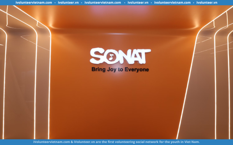 Sonat Game Studio Tuyển Dụng Vị Trí Internal Accountant